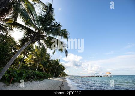 Bellissima spiaggia deserta costa a Hopkins, Belize Foto Stock