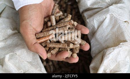 Mano di un uomo adulto che tiene un pellet di legno Foto Stock