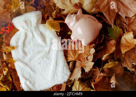 sfondo autunnale con caldo, piggy banca e foglie. Foto Stock