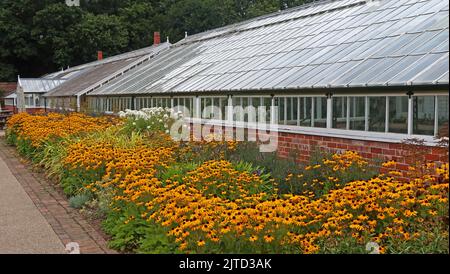Serre e aiole di fiori, Grappenhall Walled Garden, Grappenhall Heys, Warrington, Cheshire, Inghilterra, Regno Unito Foto Stock