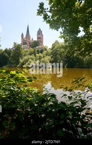 Limburgo, Germania. 03rd ago, 2022. L'isola della serratura nel Limburgo. La vista della Cattedrale di Limburgo è bloccata da spine e cespugli troppo grandi. L'isola di Limburgo ha una posizione di primo piano, ma evoca un'esistenza oscura. (A dpa: Lahn Island deve essere risvegliata dal suo sonno) Credit: Thomas Frey/dpa/Alamy Live News Foto Stock