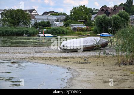 Insel Reichenau, Germania. 03rd ago, 2022. A causa della bassa acqua del lago di Costanza, l'area costiera dell'isola di Reichenau è diventata più grande. Le barche giacciono sulla terra asciutta. Il servizio meteo tedesco (DWD) presenta questo martedì (29.08.2022) il suo bilancio preliminare per l'estate. E' già chiaro che era ancora troppo caldo, troppo secco e molto soleggiato. Credit: Felix Kästle/dpa/Alamy Live News Foto Stock