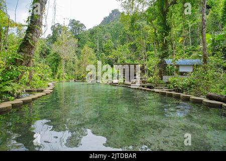 Recentemente popolare attrazione Ban Nam Rad Watershed Forest a Khiri Rat Nikhom distretto, Surat Thani provincia, Thailandia. Foto Stock