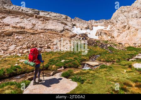 Escursionista al Lone Pine Creek sul Mount Whitney Trail, John Muir Wilderness, California USA Foto Stock