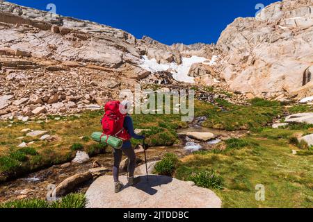 Escursionista al Lone Pine Creek sul Mount Whitney Trail, John Muir Wilderness, California USA Foto Stock