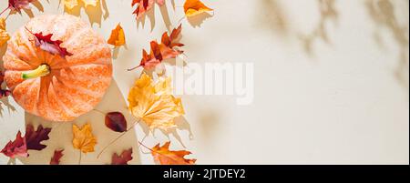 Autunno sfondo in campagna. Zucca di Halloween arancione e foglie gialle cadute con ombre sulla struttura di pietra Foto Stock