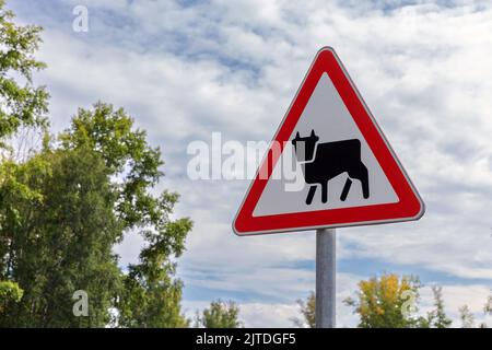 Il cartello stradale per l'attraversamento del bestiame è sotto il cielo nuvoloso sul lato della strada rurale Foto Stock