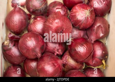 vista dall'alto di un mucchio di cipolle rosse. Foto Stock