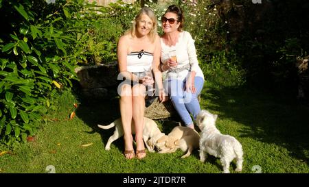 Due belle femmine sedute con un paio di cuccioli labrador e un West Highland Terrier - John Gollop Foto Stock