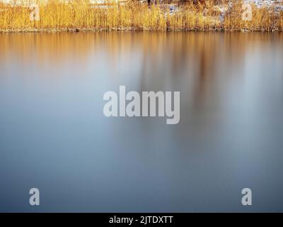 lago ghiacciato e canne secche a riva in una stagione invernale Foto Stock