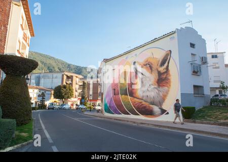 Losar, Spagna - 23th agosto 2022: Parete decorata con graffiti raffigurante una volpe a Losar de la vera, Caceres, Estremadura, Spagna Foto Stock