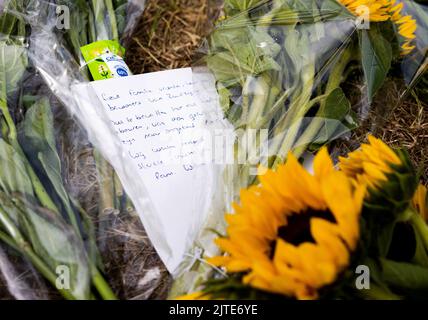 NEW BEIJERLAND - Danimarca, 2022-08-30 11:43:59:00 NEW BEIJERLAND - Bandiere appeso a mezzo albero e fiori in memoria delle vittime dell'incidente mortale. Il sabato un camion ha guidato fuori dalla diga a Nieuw-Beijerland e colpito i presenti ad una festa di quartiere. Oltre ai sette feriti, sono state uccise sei persone. ANP JEFFREY GROENEWEG olanda fuori - belgio fuori Foto Stock