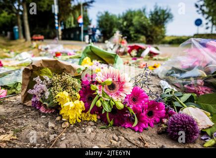 NEW BEIJERLAND - Danimarca, 2022-08-30 11:44:31:00 NEW BEIJERLAND - Bandiere appeso a mezzo albero e fiori in memoria delle vittime dell'incidente mortale. Sabato, un camion ha guidato fuori dalla diga a Nieuw-Beijerland e colpito i presenti a una festa di quartiere. Oltre ai sette feriti, sono state uccise sei persone. ANP JEFFREY GROENEWEG olanda fuori - belgio fuori Foto Stock