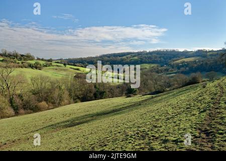 St. Catherine's Valley e Cotswold Hills dal sentiero Limestone link vicino a Cold Ashton, South Gloucestershire, Regno Unito, febbraio. Foto Stock