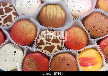 deliziosi biscotti ai maccheroni. Biscotti macaroni multicolore in scatola Foto Stock