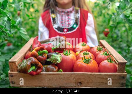 Donna contadina, ragazza bulgara in tradizionale abito folcloristico bulgaro con cesto di legno (cassa) pieno di verdure fresche crude di produzione locale (cavolo, t Foto Stock