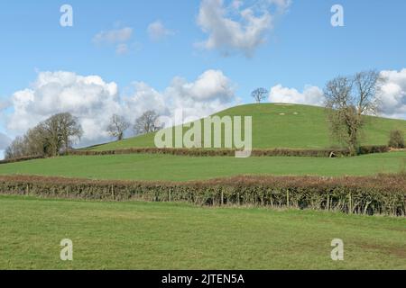 Priest Barrow, possibilmente un tumulo di sepoltura dell'età del bronzo, Farmborough, vicino a Priston, Bath e Somerset nord-orientale, febbraio 2021. Foto Stock