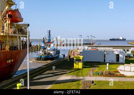 Portarinfuse Federale Shimanto entra nel bacino del canale di Kiel Foto Stock