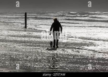 silhouette di una donna che cammina con il suo cane a tempesta in spiaggia Foto Stock