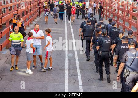 Esecuzione dei tori. Tori. Bull corre. Encierro che si celebra nella città di San Sebastian de los Reyes, a Madrid. Percorso finale accanto al toro Foto Stock