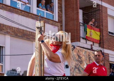 Esecuzione dei tori. Tori. Bull corre. Encierro che si celebra nella città di San Sebastian de los Reyes, a Madrid. Percorso finale accanto al toro Foto Stock