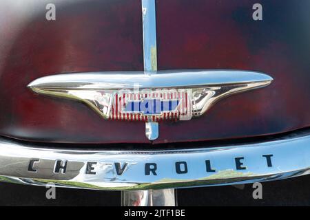 1954 Chevrolet 3100 pick-up, logo Foto Stock