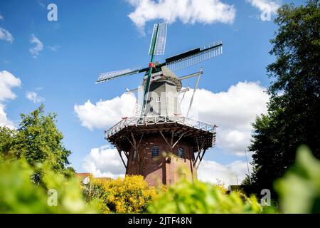 Papenburg, Germania. 30th ago, 2022. Lo storico 'Meyers Mühle' si trova nel bel mezzo del sole, nel parco cittadino del centro città. Credit: Hauke-Christian Dittrich/dpa/Alamy Live News Foto Stock