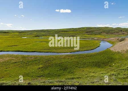 Il fiume Yellowstone attraversa Hayden Valley, il parco nazionale di Yellowstone, Wyoming, USA Foto Stock