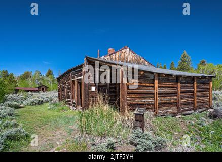 Bryant Cabin, Miners Delight, alias Hamilton City Townsite, Wind River Range, Wyoming, USA Foto Stock