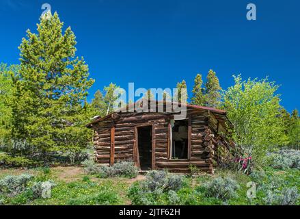 Cabina a Miners Delight, nota anche come città di Hamilton, Wind River Range, Wyoming, USA Foto Stock