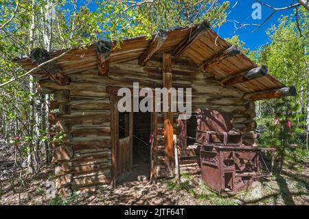Cabina a Miners Delight, nota anche come città di Hamilton, Wind River Range, Wyoming, USA Foto Stock