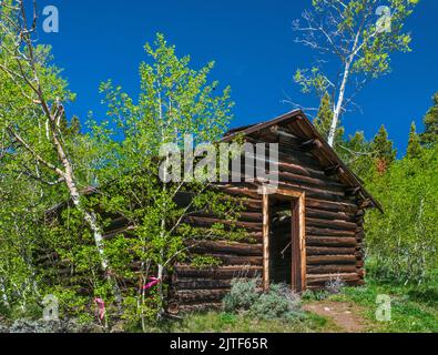 Cabina a Miners Delight, nota anche come città di Hamilton, Wind River Range, Wyoming, USA Foto Stock
