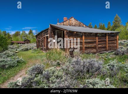 Bryant Cabin, Miners Delight, alias Hamilton City Townsite, Wind River Range, Wyoming, USA Foto Stock
