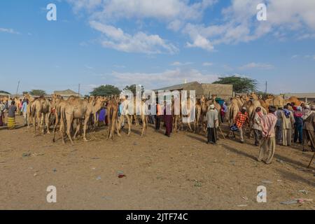 HARGEISA, SOMALILAND - 15 APRILE 2019: Vista del mercato dei cammelli di Hargeisa, capitale del Somaliland Foto Stock