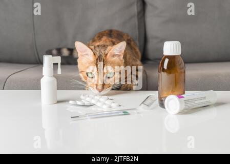 Un gatto con un raffreddore o influenza si siede su un divano vicino a un tavolo con farmaci. Il concetto di raffreddore. Foto Stock