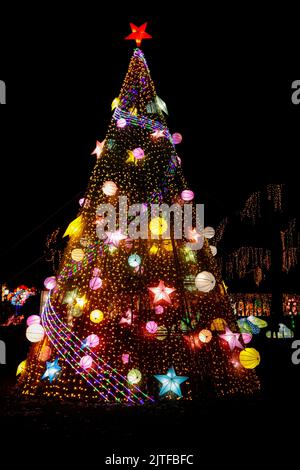 Albero di natale all'aperto illuminato di notte Foto Stock