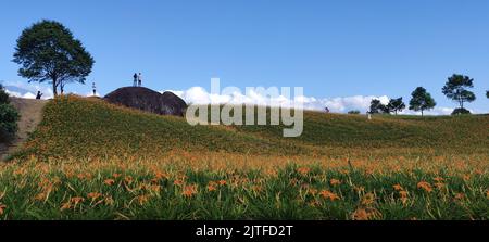 Chike Mountain, Hualien - 29 agosto 2022 : la bella montagna di fiori di giorno della Taiwan orientale Foto Stock