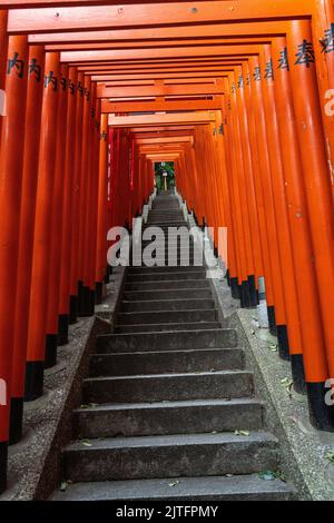 Un vivido tunnel di porte rosse di Torii fieggiano le scale di pietra che conducono al santuario di Hie Jinja a Nagatacho, Chiyoda, Tokyo, Giappone. Il santuario Shintoista è uno dei tre santuari principali di Tokyo. Foto Stock