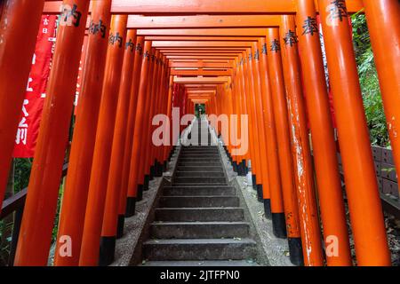 Un vivido tunnel di porte rosse di Torii fieggiano le scale di pietra che conducono al santuario di Hie Jinja a Nagatacho, Chiyoda, Tokyo, Giappone. Il santuario Shintoista è uno dei tre santuari principali di Tokyo. Foto Stock