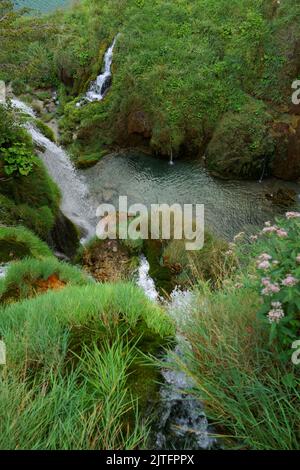 Cascate ai laghi di Plitvice, Croazia. Nacionalni parco Plitvicka jezera. Parco nazionale dei laghi di Plitvice. FOTO DI SAM BAGNALL Foto Stock
