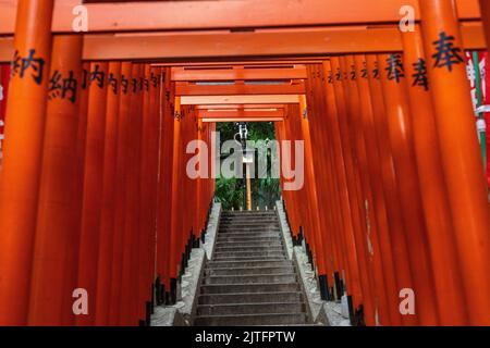 Un vivido tunnel di porte rosse di Torii fieggiano le scale di pietra che conducono al santuario di Hie Jinja a Nagatacho, Chiyoda, Tokyo, Giappone. Il santuario Shintoista è uno dei tre santuari principali di Tokyo. Foto Stock