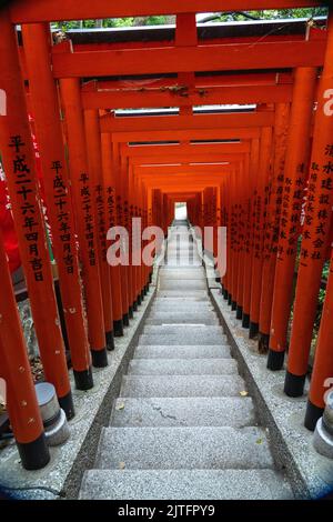 Un vivido tunnel di porte rosse di Torii fieggiano le scale di pietra che conducono al santuario di Hie Jinja a Nagatacho, Chiyoda, Tokyo, Giappone. Il santuario Shintoista è uno dei tre santuari principali di Tokyo. Foto Stock