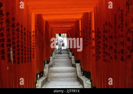 Un uomo cammina lungo un vivido tunnel di rossi Torii porta la linea le scale di pietra che conducono dal santuario Hie Jinja a Nagatacho, Chiyoda, Tokyo, Giappone. Il santuario Shintoista è uno dei tre santuari principali di Tokyo. Foto Stock