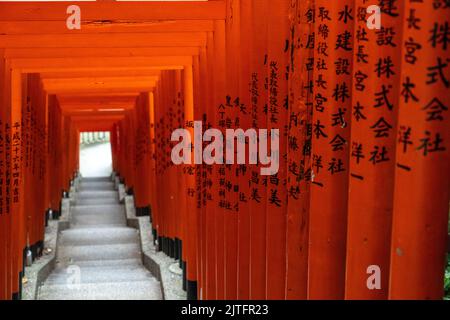 Un vivido tunnel di porte rosse di Torii fieggiano le scale di pietra che conducono al santuario di Hie Jinja a Nagatacho, Chiyoda, Tokyo, Giappone. Il santuario Shintoista è uno dei tre santuari principali di Tokyo. Foto Stock