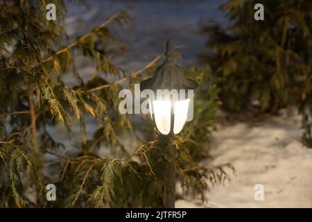 Lanterna di Natale sulla neve con diramazione di abete nella scena di sera. Foto Stock