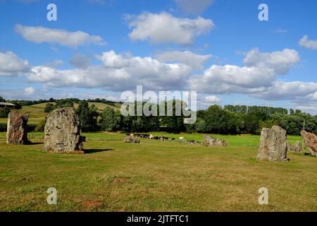 Stanton Drew cerchio di pietra megalitica nelle colline Mendip, Somerset. Foto Stock