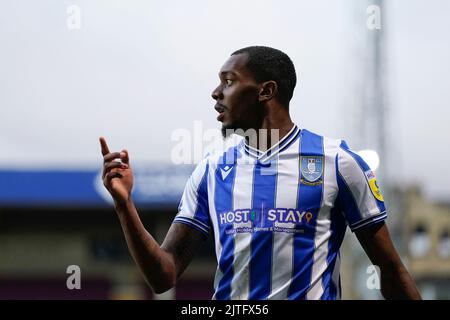 Jaden Brown #3 di Sheffield Mercoledì Foto Stock