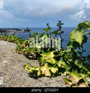 La splendida vista panoramica sulla città di Ischia Ponte (Isola d'Ischia, Napoli, Italia) dalla cima del famoso Castello Aragonese (18) Foto Stock