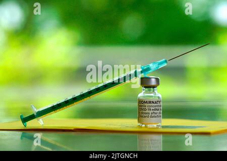 Siringa con vaccino da Biontech Pfizer contro Covid Foto Stock