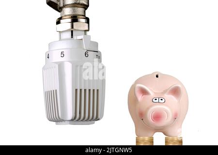 il termostato di un radiatore è completamente sollevato e il gruppo di piggy Foto Stock